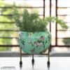 Classic Pots & Planters