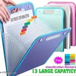 A4 File Folder Multi Layer 13 Layer file Folder (MULTICOLOUR)